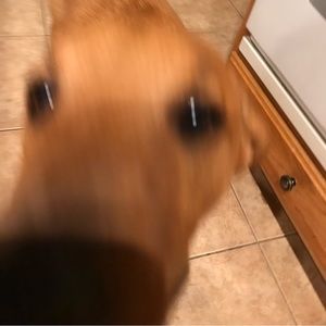 Meet your Posher, Jacob